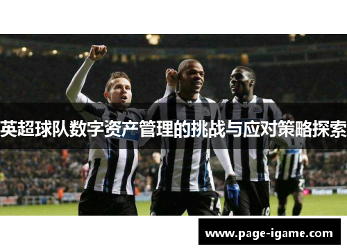 英超球队数字资产管理的挑战与应对策略探索