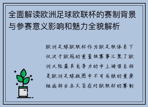 全面解读欧洲足球欧联杯的赛制背景与参赛意义影响和魅力全貌解析